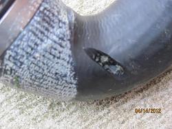 StypeR - sourced Leak - bottom radiator hose-hose2.jpg