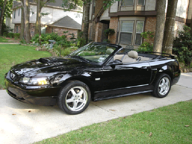 Name:  Mustang-Side-1.gif
Views: 201
Size:  210.7 KB