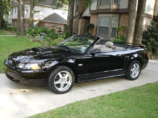 Name:  Mustang-Side-1.gif
Views: 220
Size:  210.7 KB