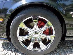 Cat got new shoes-img_20120609_150804.jpg