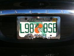Would you put this on your S-Type, yay or nay?-img0233l.jpg