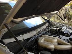 oil leak pic inside-car-027.jpg
