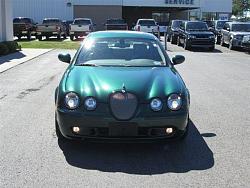 Introduction-greenjag1.jpg