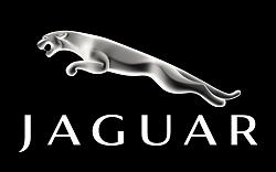 Aftermarket Navigation Installation-jaguar_logo.jpg