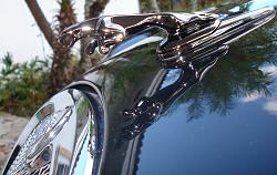Got my new Black chrome Leaper-dsc03617.jpg