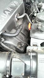 What are these?-imag0486_zpse5634863.jpg