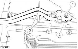 How do I get Transmission cooling lines off of vehicle?-transmission-lines.jpg