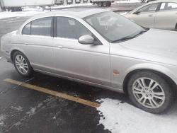 Cats Hate Snow-car.jpg