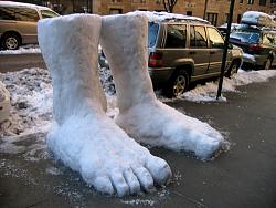 2 Feet of SnoW-2-feet-snow.jpg