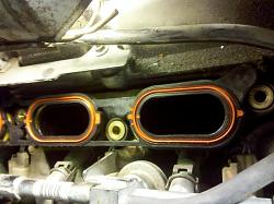 new guy gasket query-img_20110102_142541.jpg