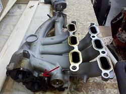 Misfire Issues-aholbro-backside-imt.jpg