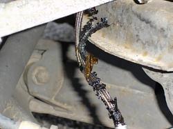 2003 S-Type 3.0 Brake Problems-picture-004.jpg