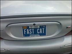 personalized plate-fastcat.jpg