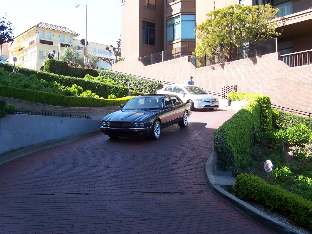 Name:  100_0396.jpg
Views: 67
Size:  181.2 KB