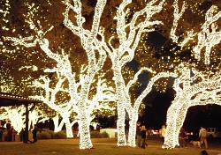 Holiday lights-pedernales-electric-co-op-hq-01.jpg