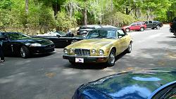 upcoming Jaguar Society of SC drive/picnic-18111_872590152802790_2982333132170440094_n.jpg