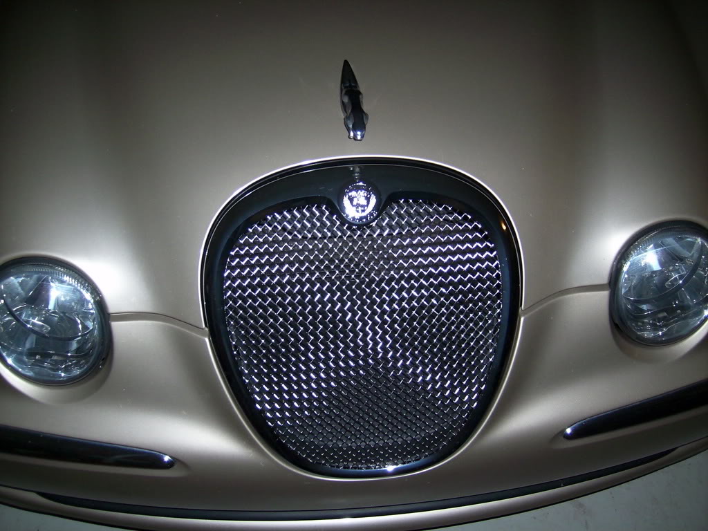 Name: FrontGrill.jpg
Views: 66
Size: 140.3 KB