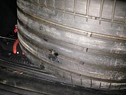 Fun at MIR in November-nailreardiverside.jpg