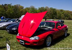 Upcoming Northern VA Events for Jaguar People-img_5447.jpg