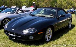 Upcoming Northern VA Events for Jaguar People-img_5448.jpg