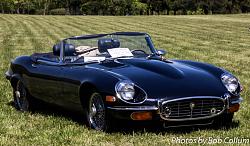 Upcoming Northern VA Events for Jaguar People-img_5455.jpg