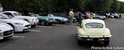 (Northern Virginia) APOJ  5 - Sunday, June 7th, 2015-img_7268.jpg