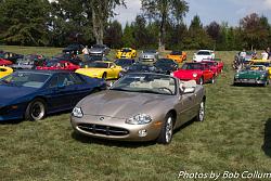 McGovern 'Lotus' Party, 08/29/15-img_0534.jpg