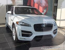 Jaguar F-Pace!-img_5846.jpg