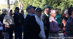 2016 Hunt Country Classic-img_9710.jpg