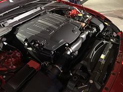 Jaguar event in Dulles-photo666.jpg