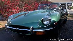 COGS Car Show - Saturday, 11/19/16-img_2462.jpg