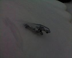 New here from Richmond, Va.. some snow pics (:-snowjag3.jpg
