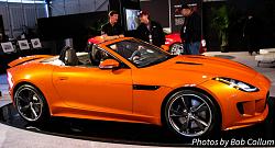 Jaguar Alive Driving Experience-img_2015.jpg