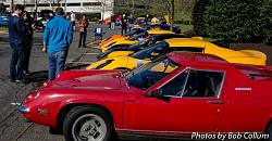 A Pride of Jaguars - Fair Lakes-img_0390.jpg