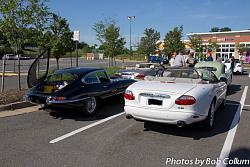 A Pride of Jaguars - Fair Lakes-img_5572.jpg