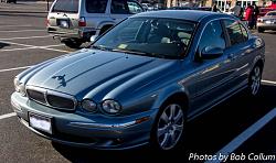A Pride of Jaguars - Fair Lakes-img_7129.jpg