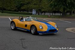 A Pride of Jaguars - Fair Lakes-img_9404.jpg