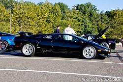 A Pride of Jaguars - Fair Lakes-img_0783.jpg