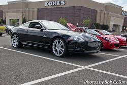 A Pride of Jaguars - Fair Lakes-img_7653.jpg