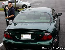A Pride of Jaguars - Fair Lakes-img_0276.jpg