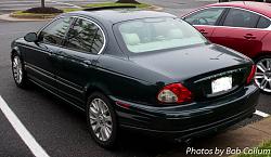 A Pride of Jaguars - Fair Lakes-img_0277.jpg