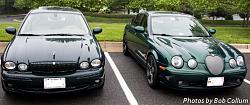 A Pride of Jaguars - Fair Lakes-img_0279.jpg
