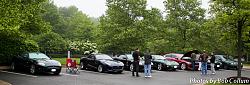 A Pride of Jaguars - Fair Lakes-img_0282.jpg