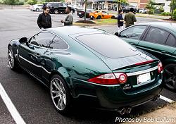 A Pride of Jaguars - Fair Lakes-img_0292.jpg
