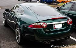 A Pride of Jaguars - Fair Lakes-img_0344.jpg
