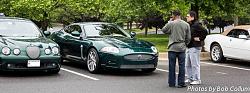 A Pride of Jaguars - Fair Lakes-img_0286.jpg