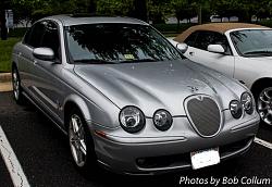 A Pride of Jaguars - Fair Lakes-img_0324.jpg