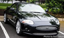 A Pride of Jaguars - Fair Lakes-img_0302.jpg