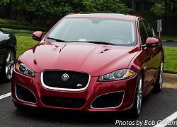 A Pride of Jaguars - Fair Lakes-img_0364.jpg