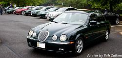 A Pride of Jaguars - Fair Lakes-img_0330.jpg